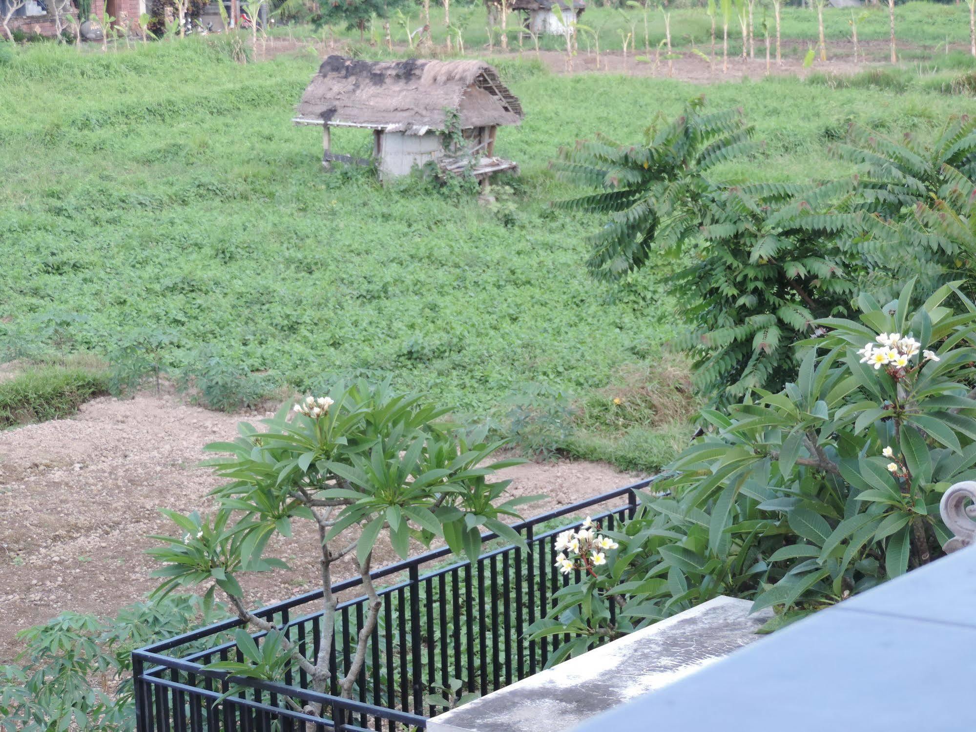 Duana'S Homestay Убуд Экстерьер фото